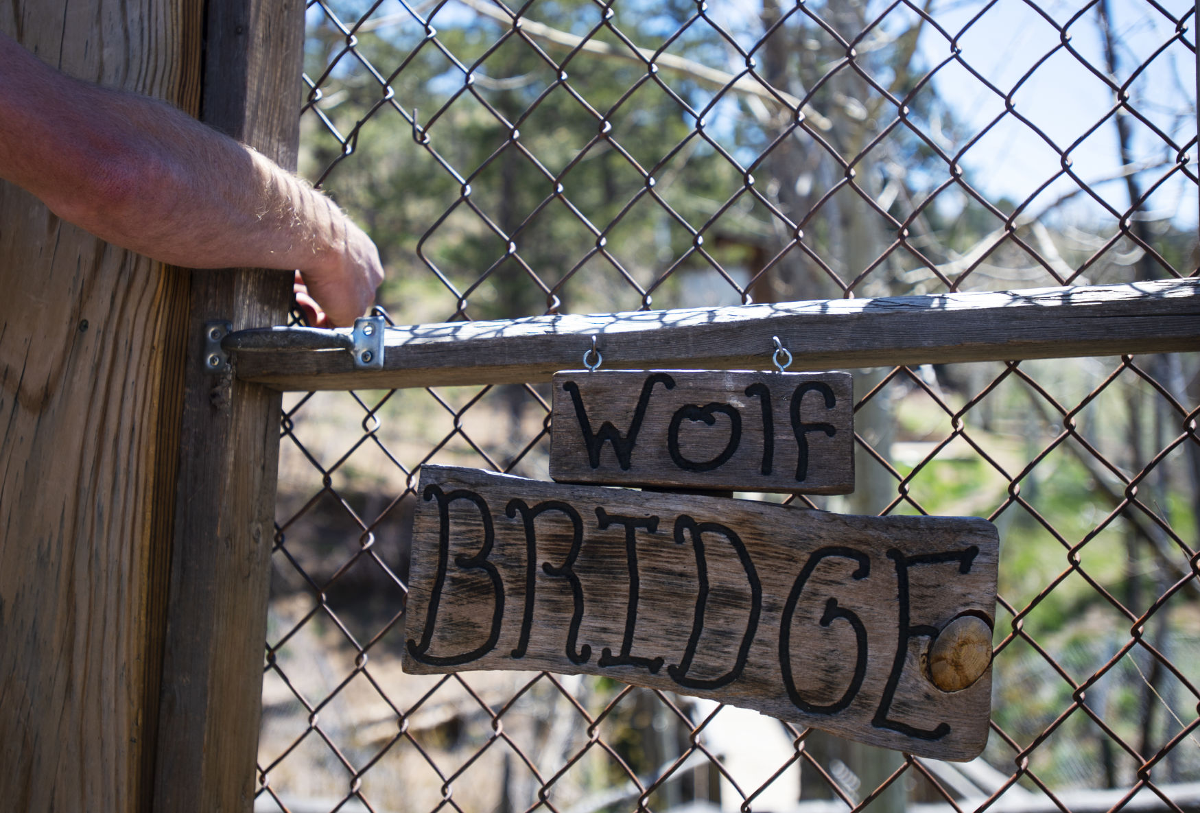 070719-news-wolves 06.JPG